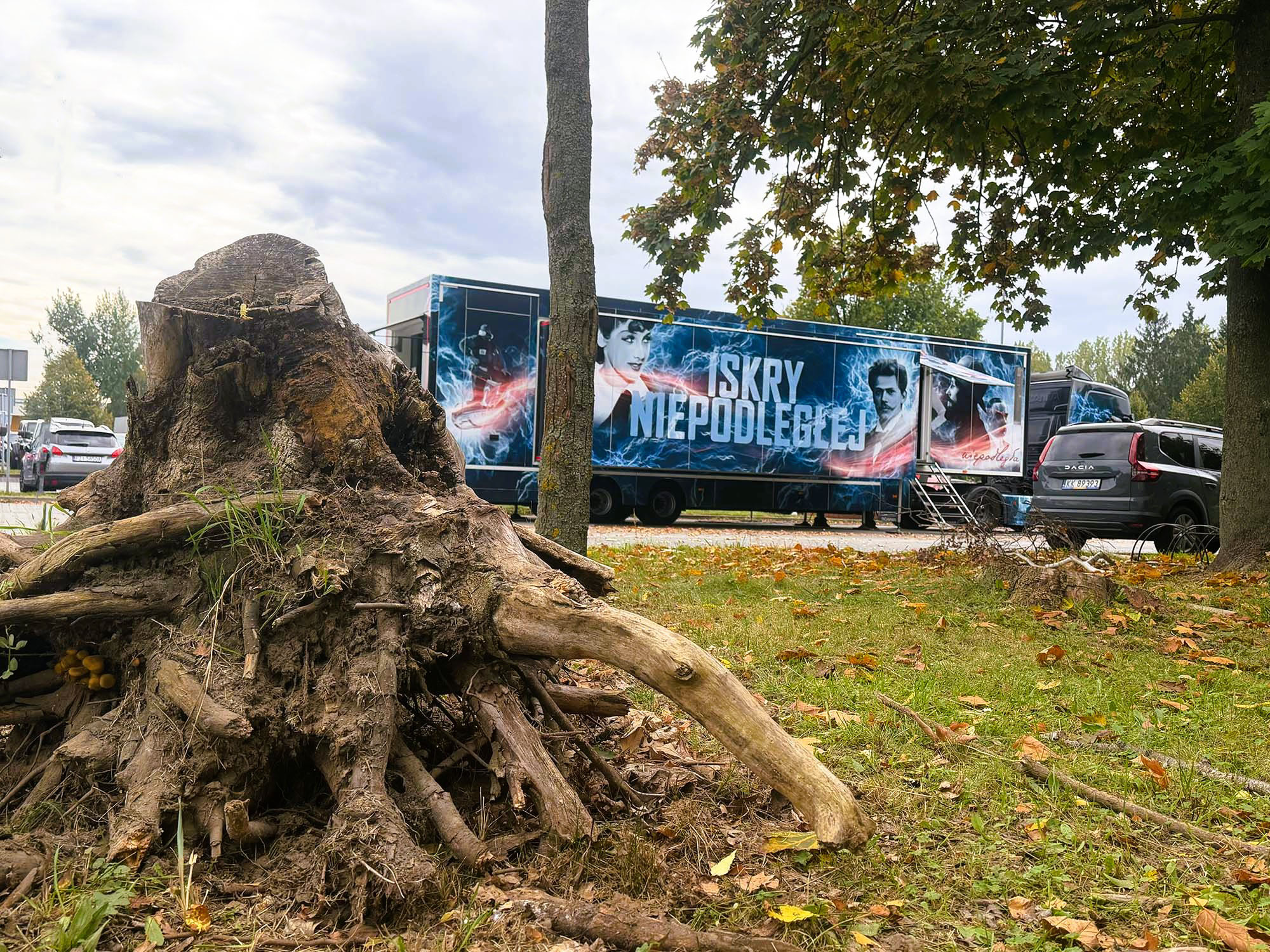 Wolsztyn, 5-8 października 2026
